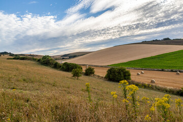 Looking out over fields in the South Downs on a summer's day