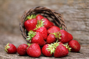 strawberries in a cornucopia