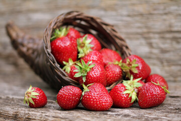 strawberries in a cornucopia basket