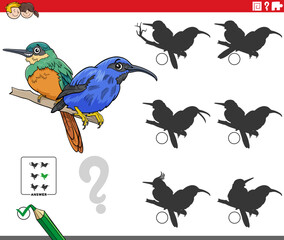 shadows game with cartoon bird characters