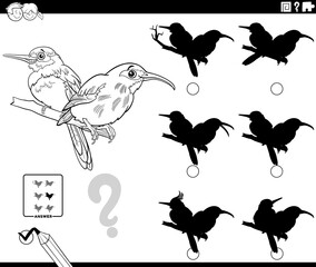 shadows game with cartoon birds coloring page