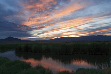 Landscape image taken after sunset showing beautiful clouds and reflections on natural warm springs in Tecopa, California.