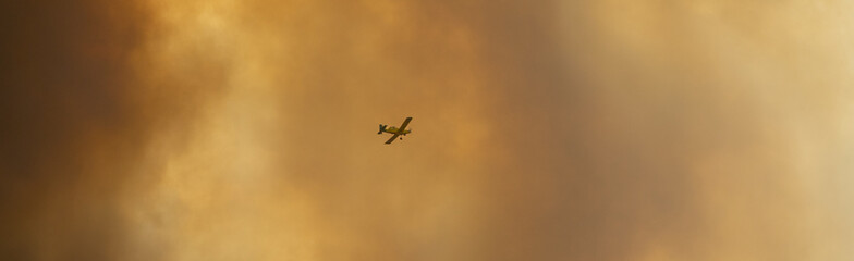 Firefighting plane flying into a large cloud of smoke caused by a forest fire