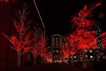 Red trees with Christmas Lights
