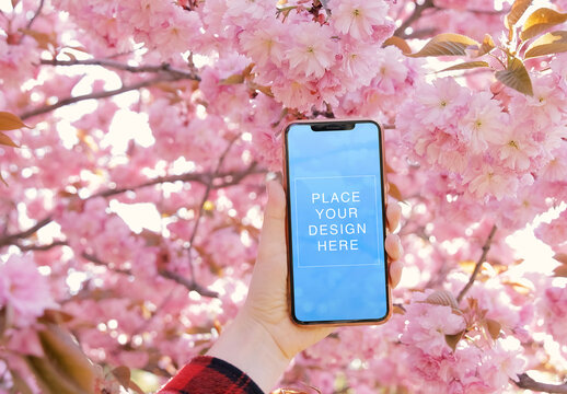 Phone Mockup Template on the Spring Blossom Sakura