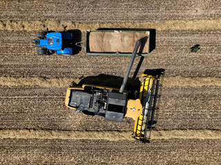 Aerial view of grain harvest in Brandenburg, Germany