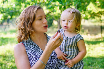 A little girl reaches for cherries on a tree. Mother helps cute child learn the world. Mom and daughter are harvesting cherries in the garden