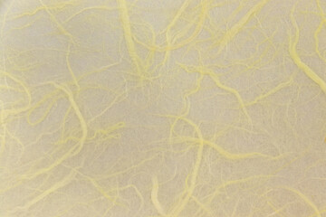 表面に繊維が浮き出た薄い黄色の和紙