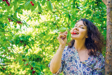 The girl is happy from the natural treat. Harvesting in the cherry orchard. A woman plucks cherries from a tree. Delicious fresh juicy cherries