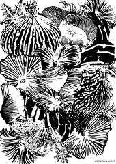 coral texture design