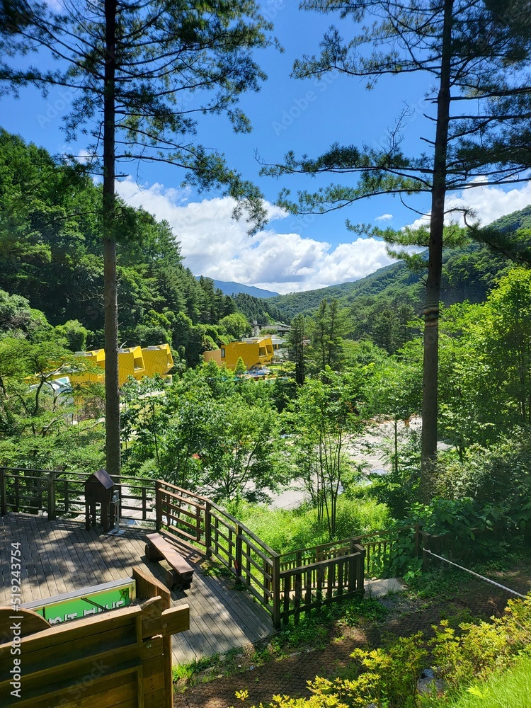 Sticker wooden bridge in the mountains