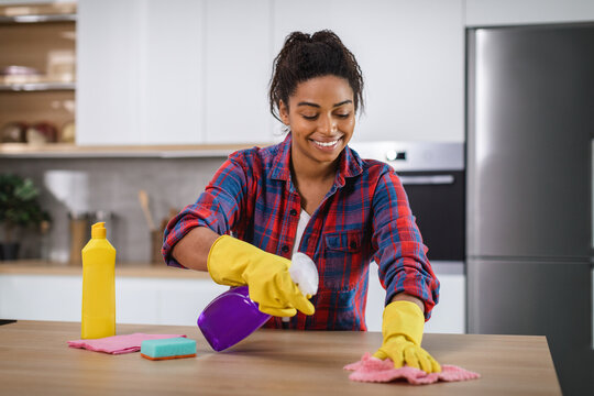Happy young african american lady housewife wipe dust with spray and rag with cleaning supplies, enjoys purity