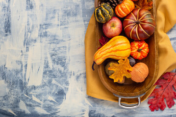 Various types of colorful mini pumpkins in a wooden dish with autumn leaves and apples