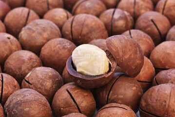 A pile of roasted macadamia nut