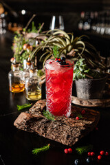 Christmas cocktail in the bar