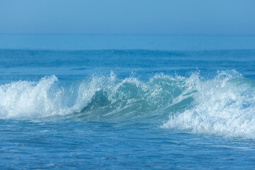 Fototapeta premium Wave at Cape Cod, Massachusetts, USA 