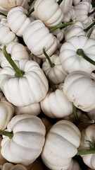 White Pumpkins