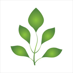 Leaf tree icon design illustration