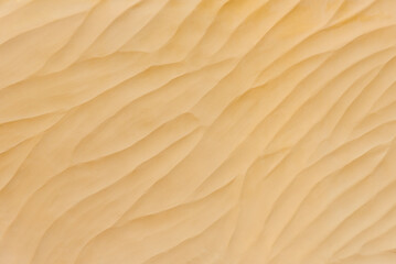 Fototapeta na wymiar Texture of yellow sand. Natural background