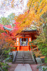 pavilion in japanese garden in Bishamon-Do Temple in autumn season, Kyoto, Japan