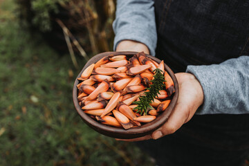 unrecognizable woman holding a clay bowl with chilean pine nuts, pehuen, araucaria tree fruit. Copy space