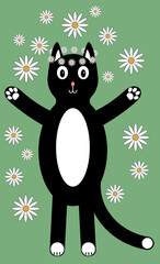 A black kitty with white spots on a chamomile meadow