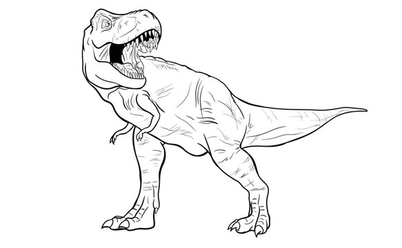 Premium Vector  Cartoon dinosaur, tyrannosaurus rex, coloring