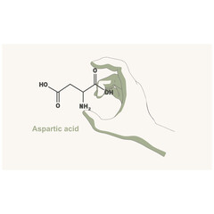 Hand holding chemical molecular formula of aspartic acid