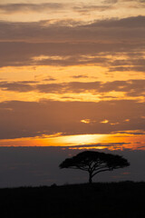 Sunset over the plains of Tanzania