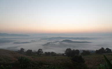 Misty landscape with shadow of forest in panorama view, Heaven on earth at sunrise