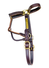 Horse bridle