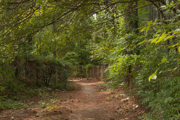NC 147 Trail