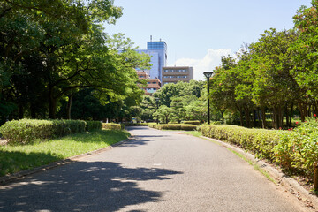 公園　道　散策