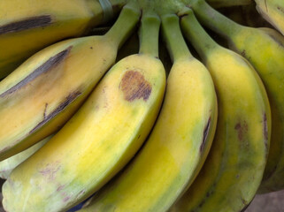 A bunch of yellow bananas which grows in clusters and has soft pulpy flesh and yellow skin when ripe.