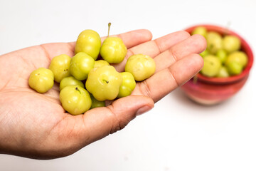 Orboroi High Resolution Stock Photography and Images, Phyllanthus acidus