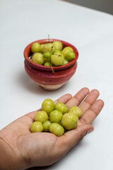 Orboroi High Resolution Stock Photography and Images, Phyllanthus acidus