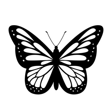 Silhouette of a beautiful butterfly with drawings on the wings. black vector illustration
