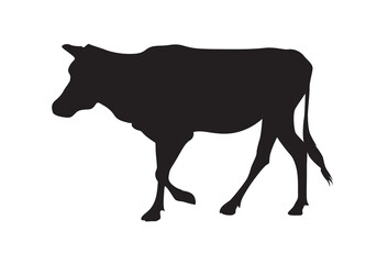 Silhouette of a cow vector isolated. Indian cow breed. Cattle or livestock.