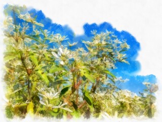 bushes and inflorescences watercolor style illustration impressionist painting.