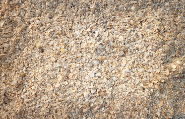 Crushed colorful sea shells background
