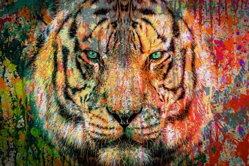 Poster graffiti on the wall with tiger color art © reznik_val