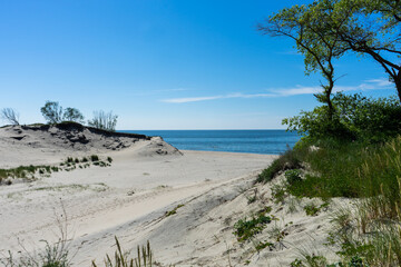 Fototapeta na wymiar Sandy seashore on a sunny summer day. beach sand and sea. 