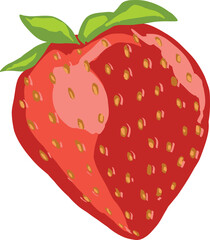Strawberry drawing vector with freshly