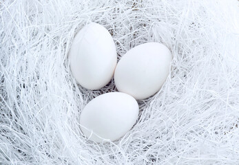 緩衝材に包まれている卵