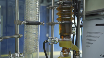 Marijuana, hemp or cannabis plant leaves farm equipment in lab room. Organic product in laboratory in technology medical, healthcare, research concept. Natural food. Ganja