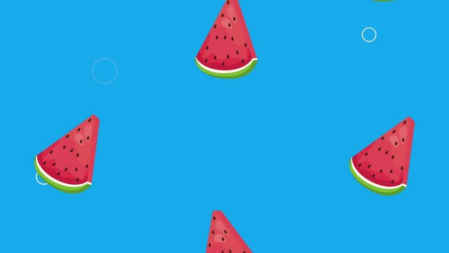 watermelons fresh fruits pattern animation