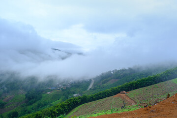 morning fog clouds on the mountain