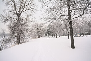 Fototapeta na wymiar Ile de la visitation nature park in the snow. Montreal, Quebec, Canada