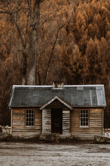 Arrowtown shed in colorful autumn forest
