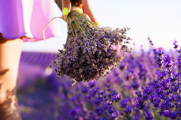 Close up of a woman in lilac dress in lavender field